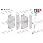 BL2925A1 FTE Комплект гальмівних колодок дисковий гальм