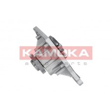 T0035 KAMOKA Водяний насос охолодження двигуна