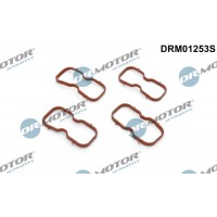 DRM01253S Dr.Motor Automotive Комплект прокладок впускний колектор