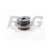BSG 85-210-010 BSG Гальмівний диск