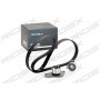 307T0041 RIDEX Комплект ременя ГРМ