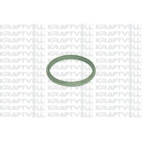 Ущільнювальне кільце, Трубка нагнітається повітря KRAFTVOLL-GERMANY 10031297