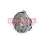 T0113 KAMOKA Водяний насос охолодження двигуна