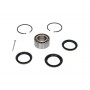 WBK-6501 KAVO PARTS Комплект підшипника ступиці колеса