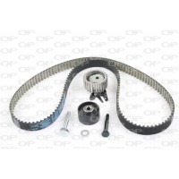 TBK5029.11 OPEN PARTS Комплект ременя ГРМ