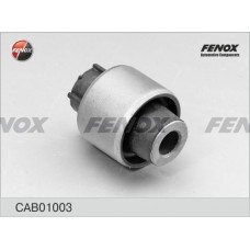 CAB01003 FENOX Підвіска важіль незалежної підвіски колеса