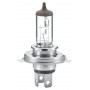 8GJ 002 525-131 HELLA Лампа розжарювання, Основна фара