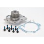 WP6046 CONTINENTAL CTAM Водяний насос охолодження двигуна