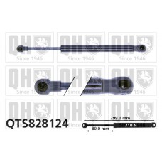 QTS828124 QUINTON HAZELL Газова пружина кришка багажника