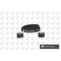 WG1487953 WILMINK GROUP Комплект ременя ГРМ