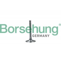 впускний клапан Borsehung B19028