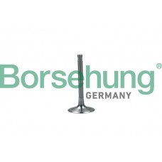 впускний клапан Borsehung B19028