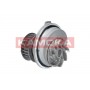 T0229 KAMOKA Водяний насос охолодження двигуна