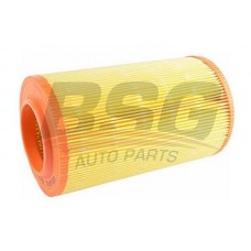BSG 70-135-003 BSG Повітряний фільтр