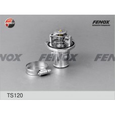 TS120 FENOX Термостат охолоджувальна рідина