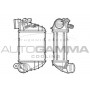 103876 AUTOGAMMA Интеркулер