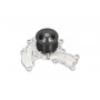 HW-1824 KAVO PARTS Водяний насос охолодження двигуна