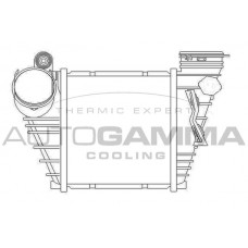 103793 AUTOGAMMA Интеркулер