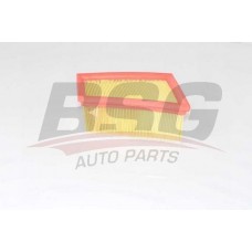 BSG 75-135-005 BSG Повітряний фільтр
