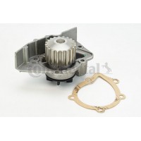 WP6076 CONTINENTAL CTAM Водяний насос охолодження двигуна