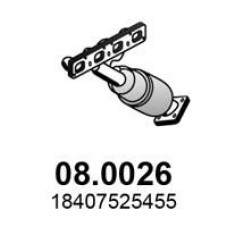 08.0026 ASSO Катализатор