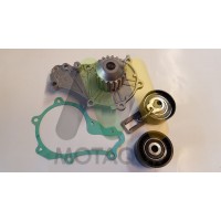 LVTTP119 MOTAQUIP Водяний насос комплект зубчастого ременя