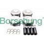 B13574 Borsehung Комплект поршневих кілець