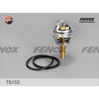 TS153 FENOX Термостат охолоджувальна рідина
