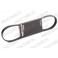 305P0251 RIDEX Поліклиновий ремінь