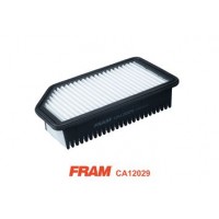 CA12029 FRAM Повітряний фільтр