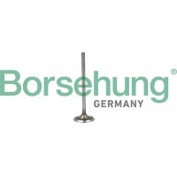 впускний клапан Borsehung B19015