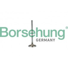 впускний клапан Borsehung B19015