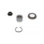 WBK-4538 KAVO PARTS Комплект підшипника ступиці колеса