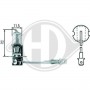 LID10015 DIEDERICHS Лампа розжарювання, Основна фара