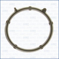 WG1161919 WILMINK GROUP Прокладка впускного колектора