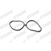 SKGI-0710059 Stark Прокладка впускного колектора