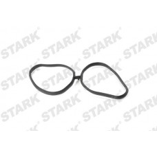 SKGI-0710059 Stark Прокладка впускного колектора