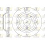 61302.10 ROADHOUSE Гальмівний диск