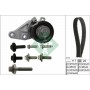 WG1251325 WILMINK GROUP Комплект ременя ГРМ