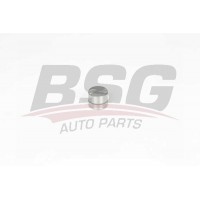 BSG 65-122-022 BSG Толкатель