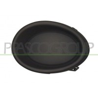 DS7131250 PRASCO Облицювання протитуманна фара