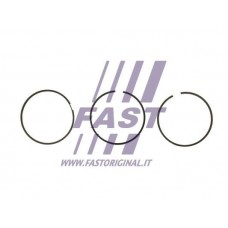 FT47394/0 FAST Комплект поршневих кілець