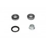 WBK-3004 KAVO PARTS Комплект підшипника ступиці колеса