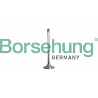 впускний клапан Borsehung B10327