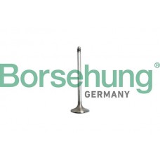 впускний клапан Borsehung B10327