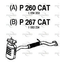 P260CAT FENNO Катализатор