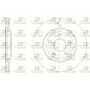 61515.10 ROADHOUSE Гальмівний диск
