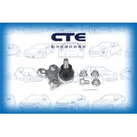 CBJ01011A CTE Шарнір незалежної підвіски поворотного важеля