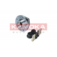 5500054 KAMOKA Комплект підшипника ступиці колеса