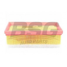 BSG 70-135-002 BSG Повітряний фільтр